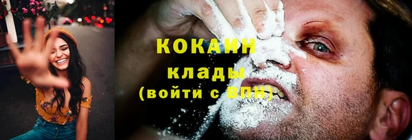 гидра Белоозёрский