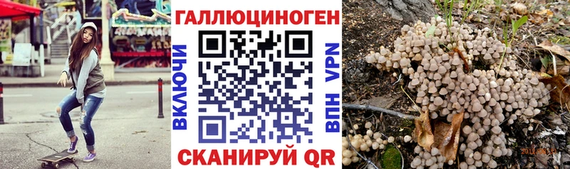 наркошоп  Городовиковск  Галлюциногенные грибы Psilocybe 